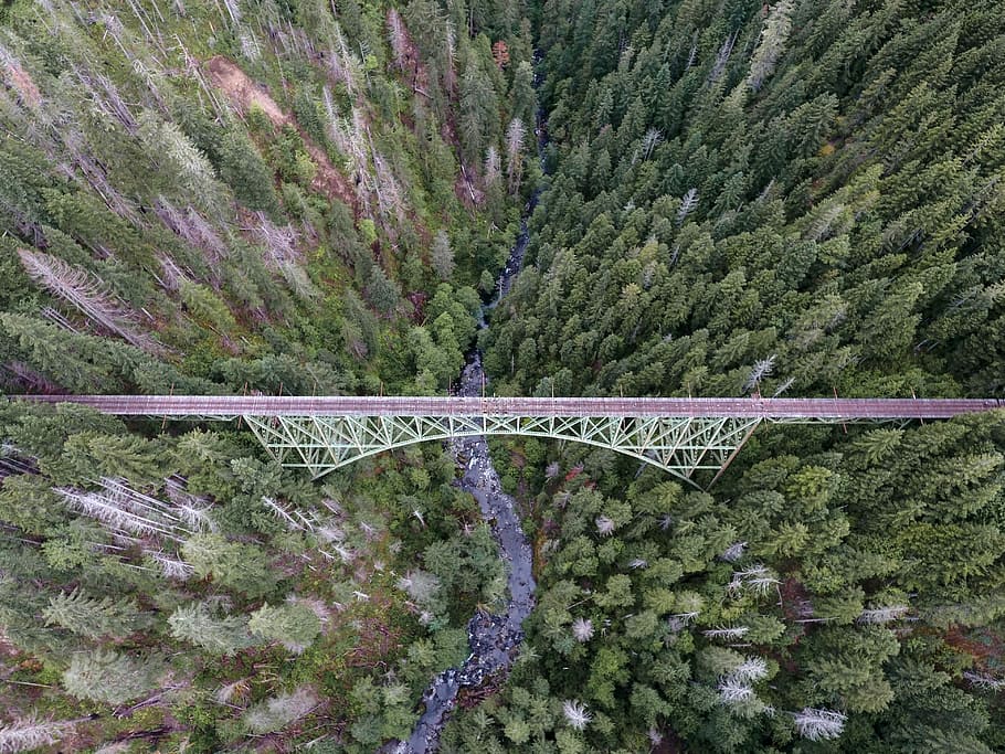 Aerial View of Bridge and Trees, architecture, forest, photos HD wallpaper