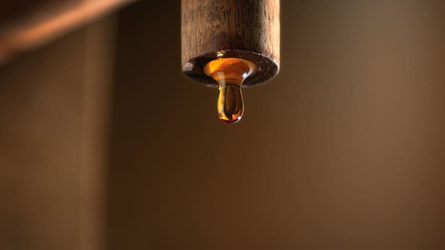 Fish, Sauce, Drop, water, no people, indoors, domestic room HD wallpaper