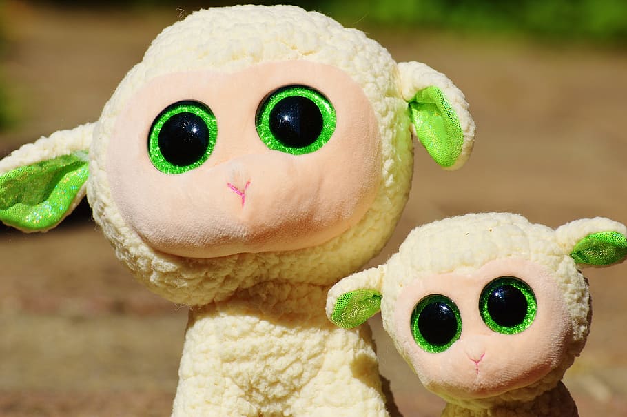 sheep, schäfchen, animal, nature, lamb, cute, sweet, glitter eyes HD wallpaper