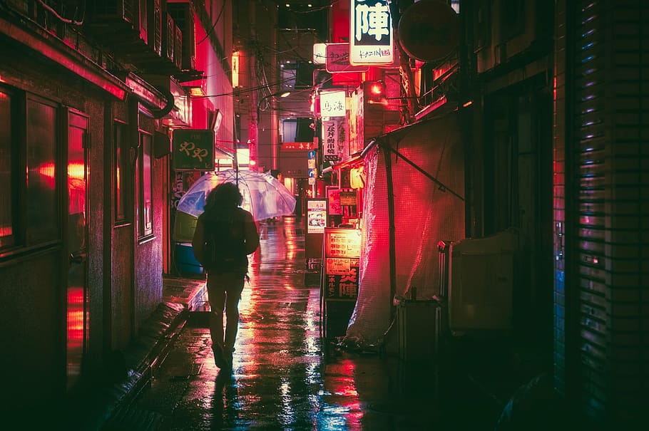 woman walking on street under the umbrella, japan, osaka, night
