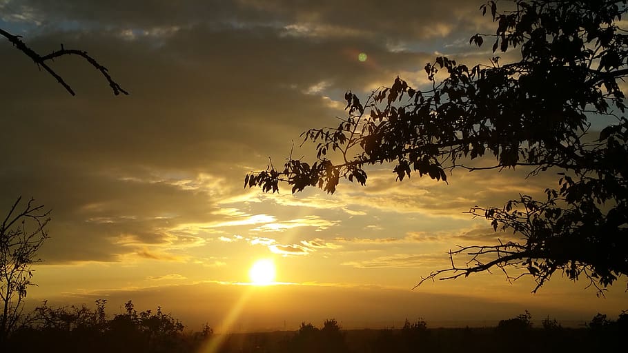 sunset, sun set, nature, sky, silhouette, cloud - sky, tree HD wallpaper