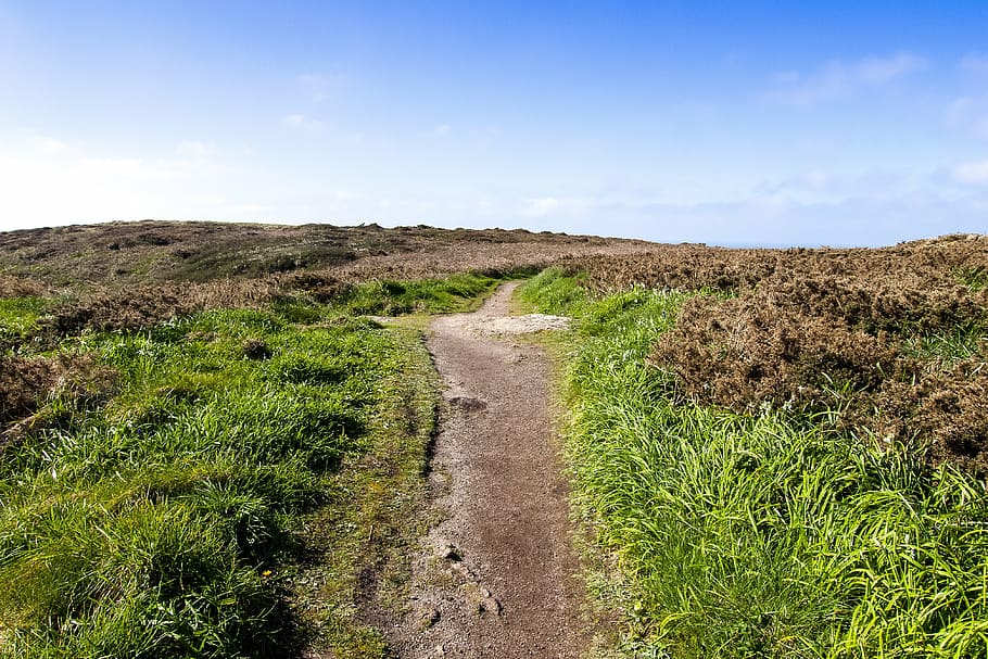 landscape, cornwall, away, nature, plant, sky, the way forward HD wallpaper