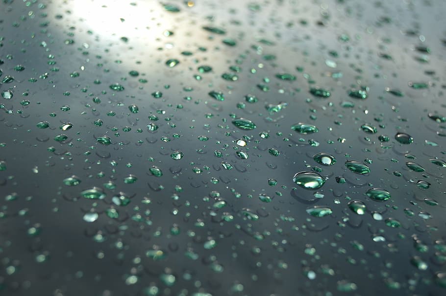 dew on glass surface, drops, rain, rain drops, water, drop of rain HD wallpaper