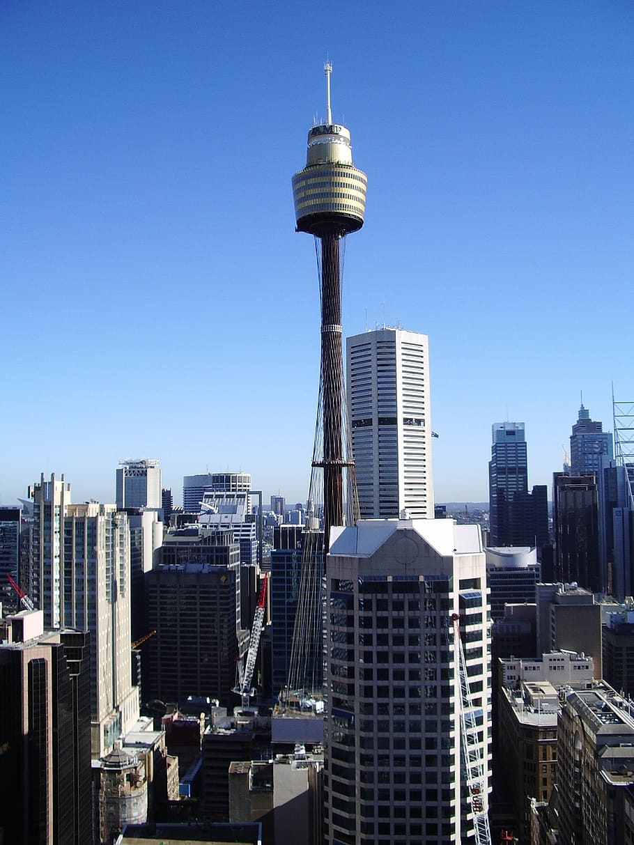 sydney, tower, city, building exterior, built structure, architecture