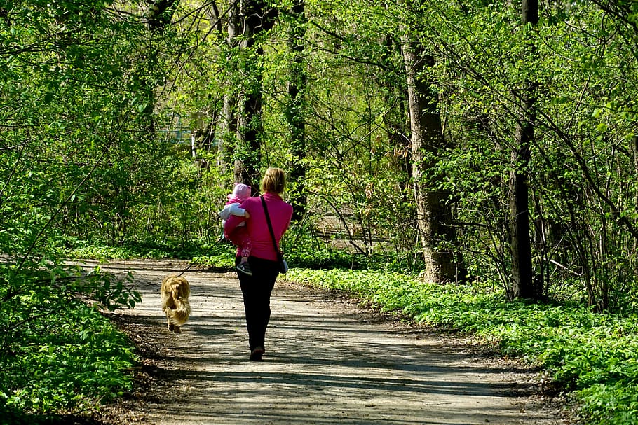 woman walking on pathway, nature, wood, tree, park, mother HD wallpaper