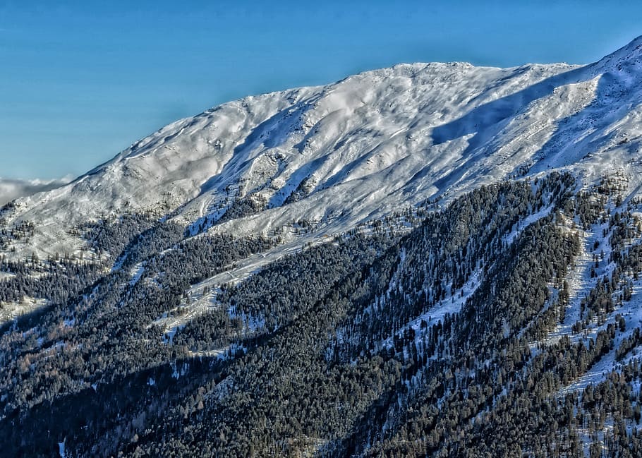 italy, mountains, forest, trees, woods, snow, wintry, landscape HD wallpaper
