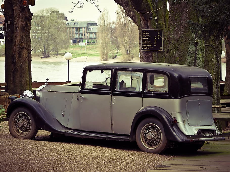 classic gray sedan in park, rolls royce, auto, automotive, vehicle, HD wallpaper