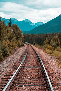 gray train rails between green tall trees, mountain, outdoors HD wallpaper