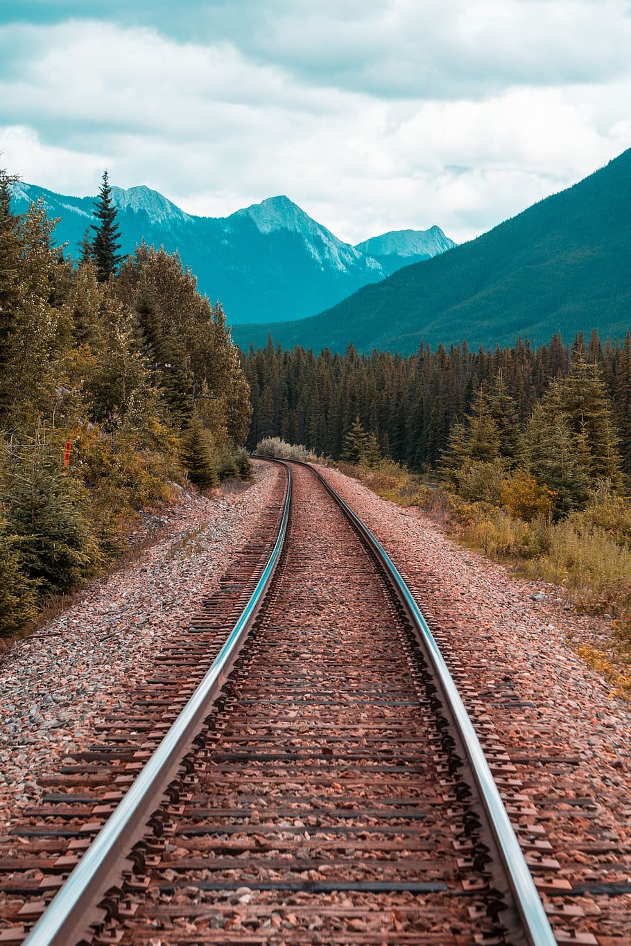 gray train rails between green tall trees, mountain, outdoors HD wallpaper