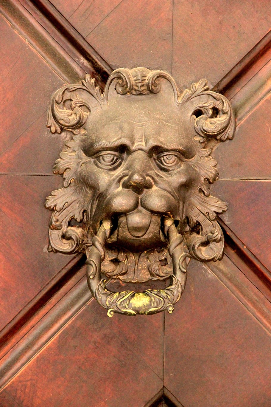 doorknocker, lion, input, metal, fitting, old, front door, ring HD wallpaper