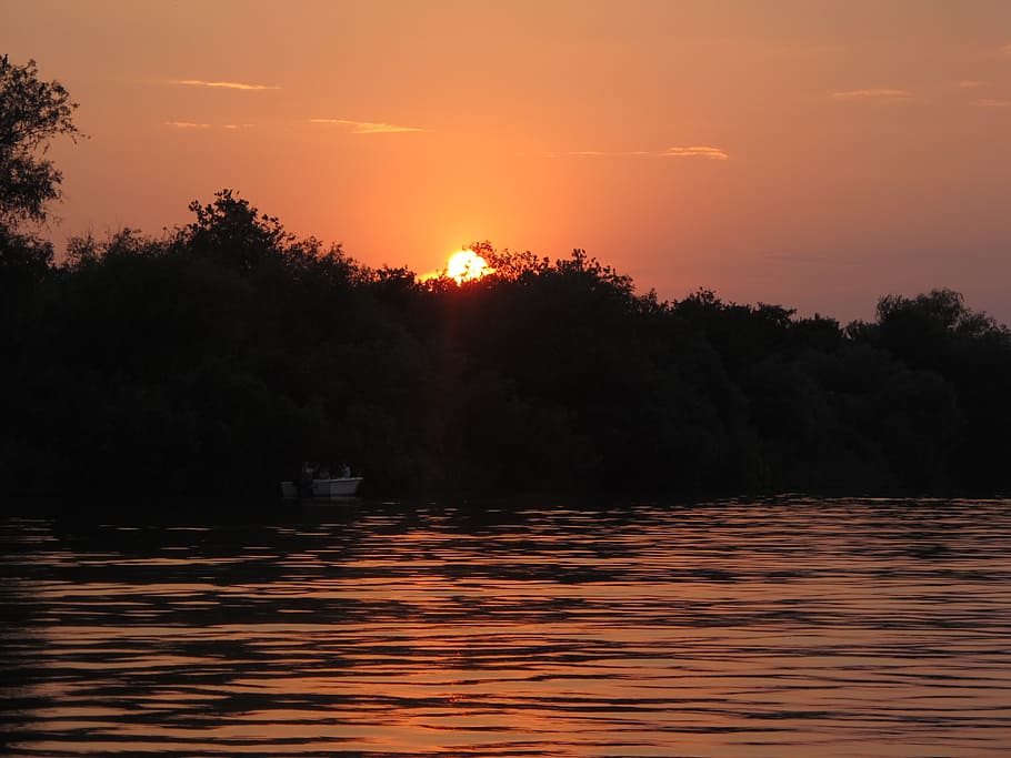 sunset, nature, water, sky, tree, beauty in nature, plant, scenics - nature HD wallpaper
