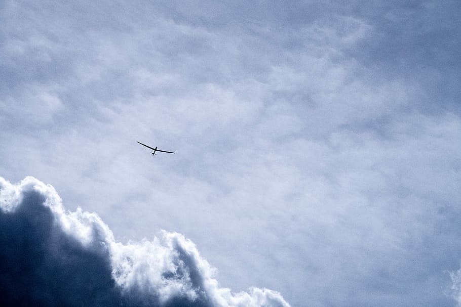 bird flying through white clouds, airplane in the sky, wallpaper HD wallpaper