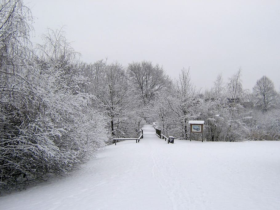 winter, snow, wintry, cold, landscape, winter magic, nature HD wallpaper