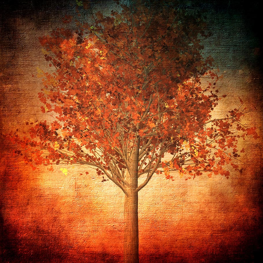 maple tree painting, autumn, fall foliage, leaves, herbstimpression HD wallpaper