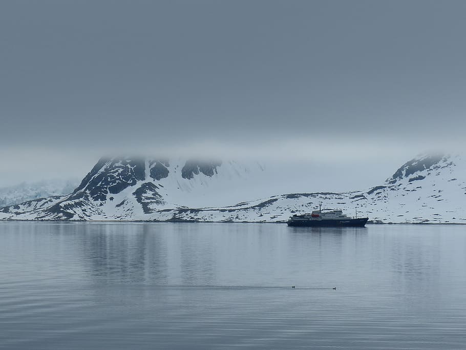 spitsbergen, expedition, fog, snow, cold temperature, winter, HD wallpaper