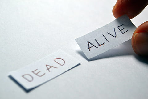 alive, dead, opposite, choice, choose, decision, positive, word HD wallpaper