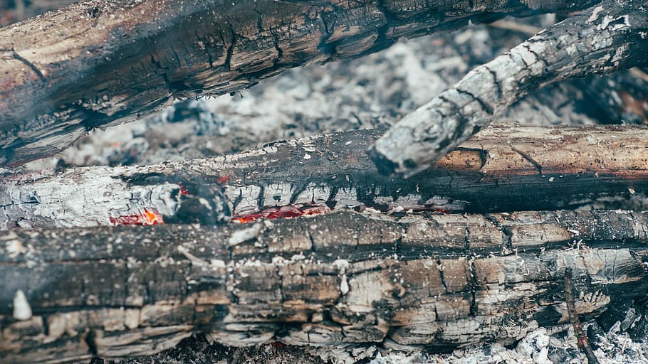 firewood in shallow focus photography, lighted firewood, log HD wallpaper
