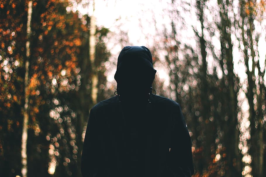people, man, alone, woods, forest, trees, leaves, travel, rear view HD wallpaper