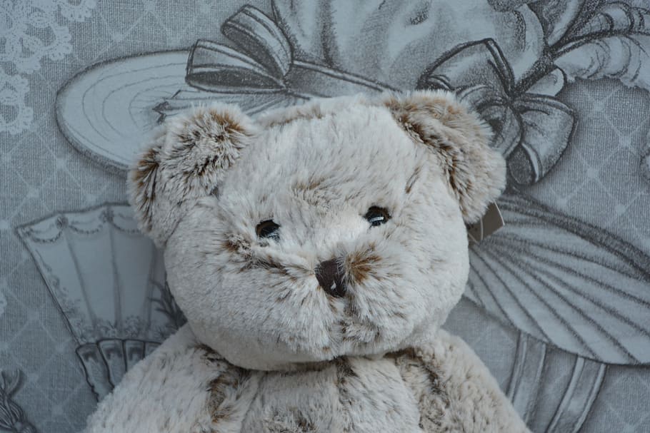 bear plush, head, doudou, hug, soft, child, mammal, domestic HD wallpaper