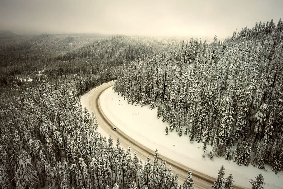 oregon, winter, snow, road, nature, outdoors, landscape, forest HD wallpaper