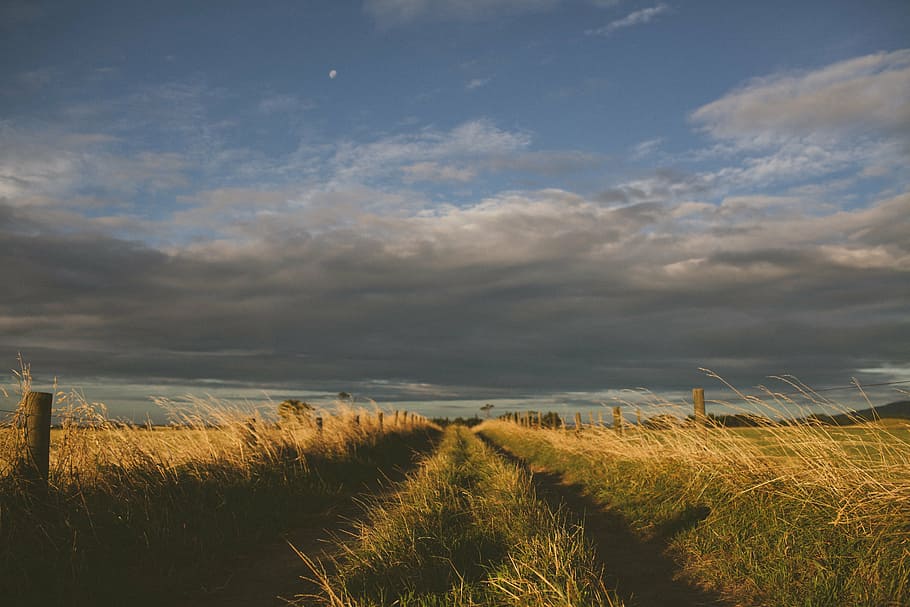 empty grass field in gray skies background \, cloudy, sky, daytime HD wallpaper