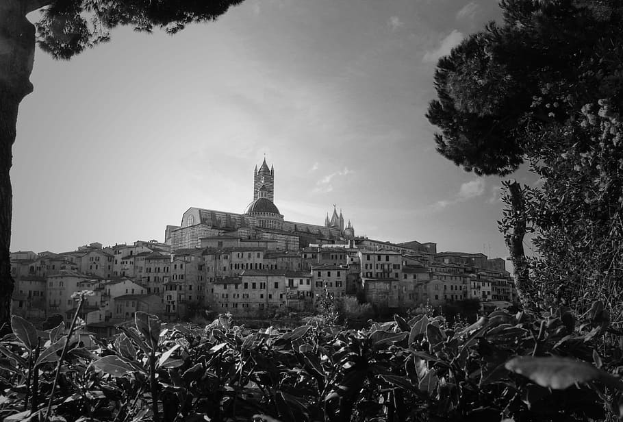 Sienna, View, Historical, Medieval, italy, architecture, city HD wallpaper