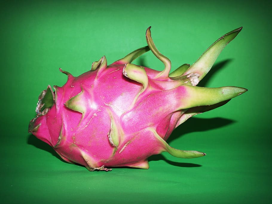 pink dragon fruit on green textile, closeup, isolated, thailand