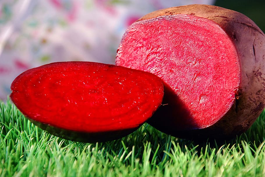 beets, grass, red, nature, green, colors, plant, spring, food HD wallpaper