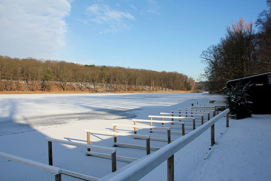 winter, lake, wintry, landscape, berlin, snow, tree, cold temperature HD wallpaper