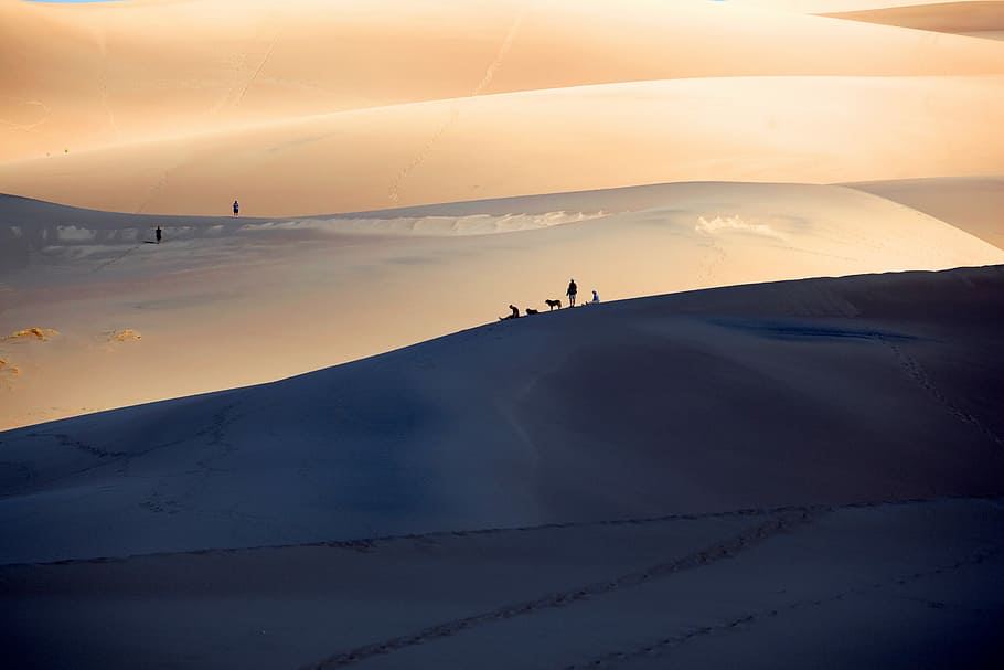 people on snow coated mountain during daytime, silhouette photo on desert with people on top HD wallpaper