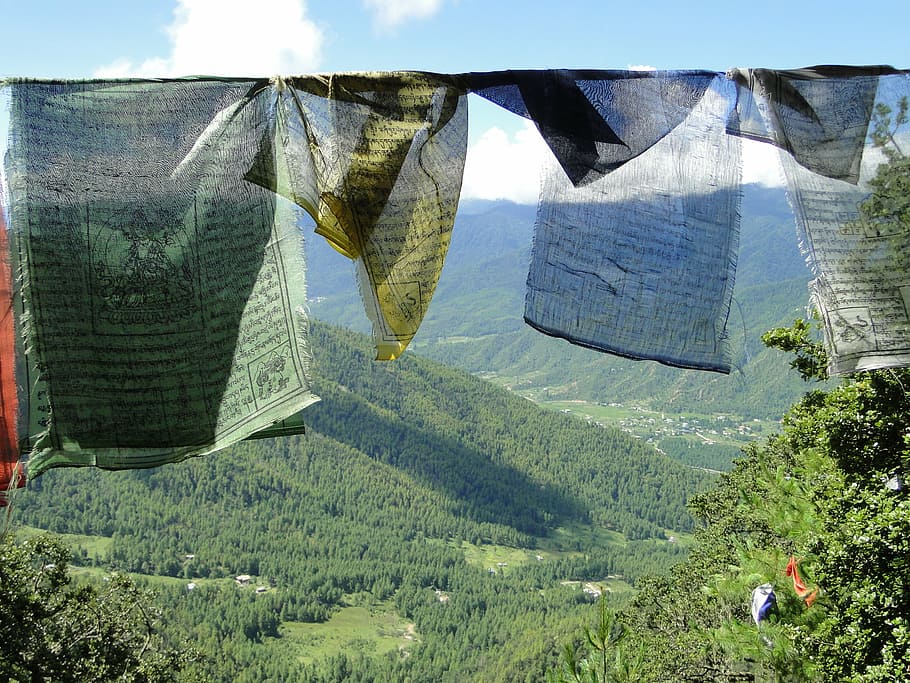 prayer flags, mountain, bhutan, plant, nature, landscape, hanging, HD wallpaper