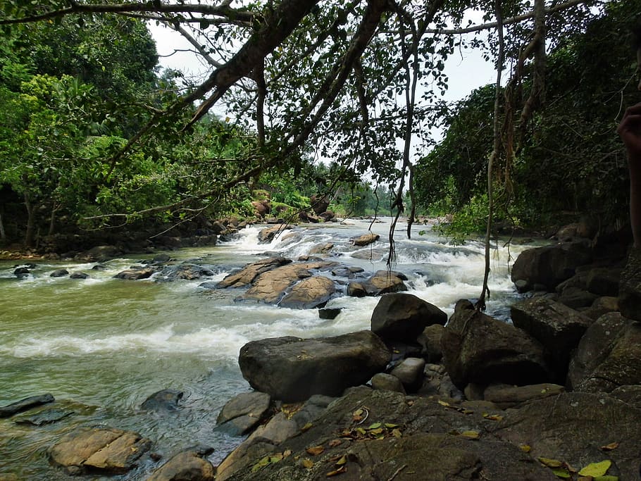 Water, Stream, Nature, River, Flow, outdoors, motion, environment HD wallpaper
