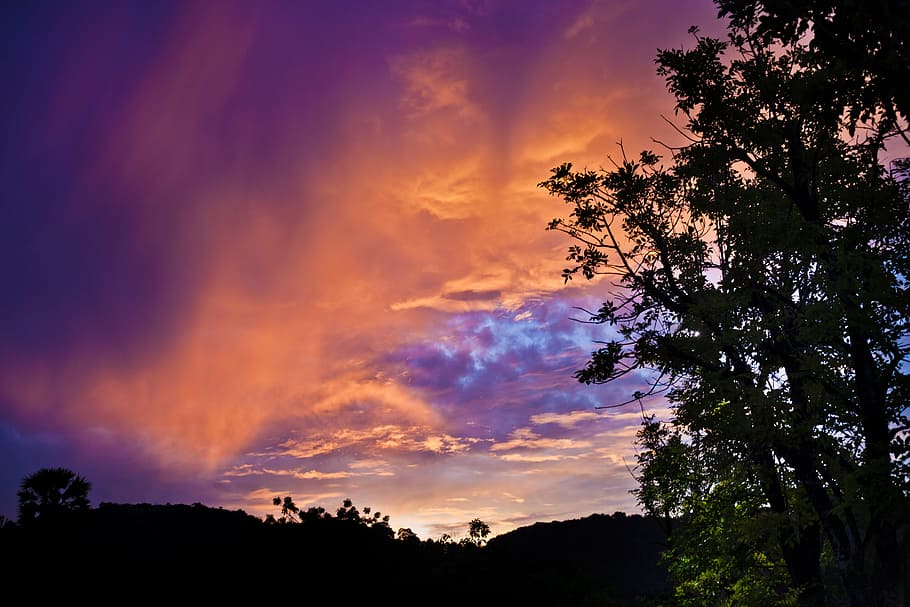 sunset, clouds, evening, purple, orange, sky, night, forest HD wallpaper