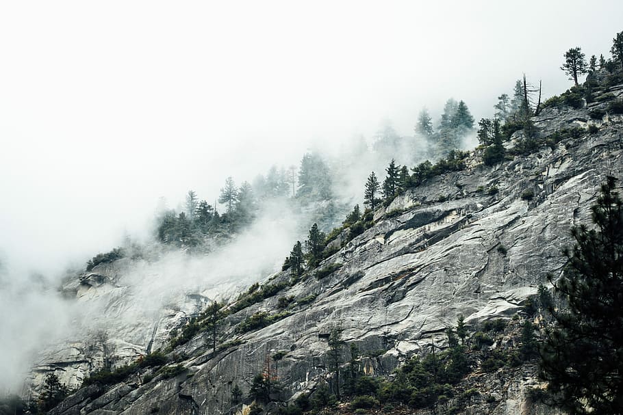 mountain with fog, fog on rocky mountain, cloud, pine, tree, stone HD wallpaper