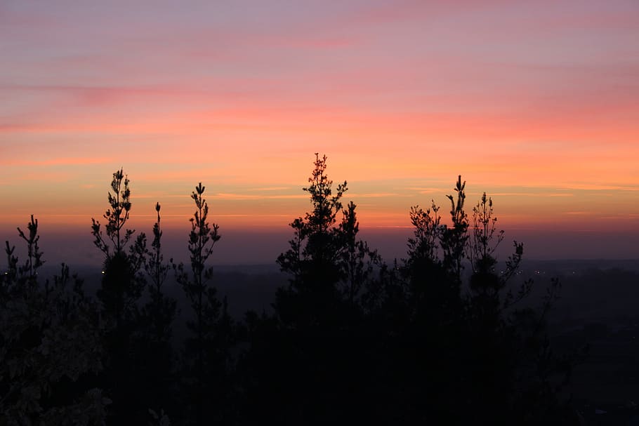 Nature, Sun, Landscape, Sunset, Autumn, trees, clouds, silhouette HD wallpaper