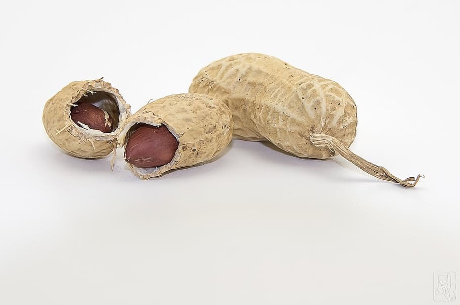 peanut illustration, snack, peanuts, shell, food, food and drink HD wallpaper