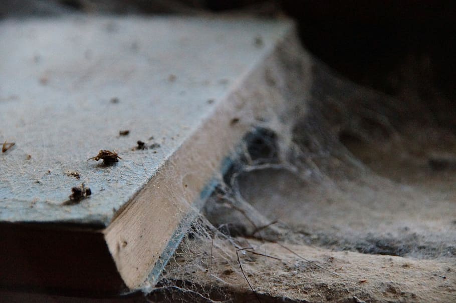 book, dusty, forget, old, decay, age ham, unread, literature HD wallpaper