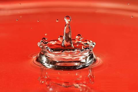 Closeup shot of a water drop splash on red background, various HD wallpaper