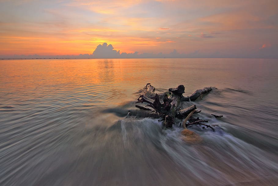 wood, sea, dawn, nature, calm, clouds, dusk, idyllic, ocean, peaceful HD wallpaper