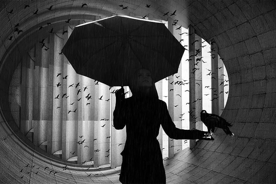 umbrella, bird, woman, rain, birds, black white, shadows, thinking, HD wallpaper
