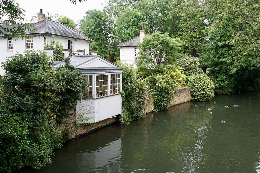 river, house, building, water, landscape, tree, reflection HD wallpaper