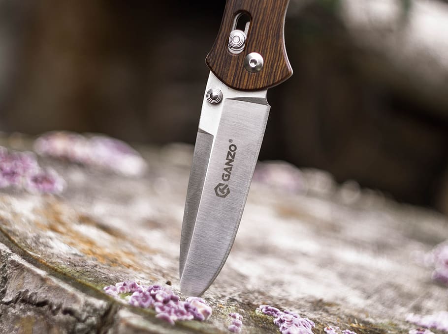 Ganzo Knife Stuck on Wood Stump, blur, close-up, equipment, focus HD wallpaper