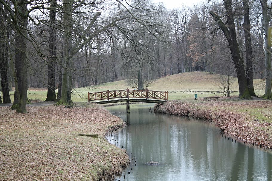 park, water, river, forest, landscape, trees, leaves, bridge HD wallpaper