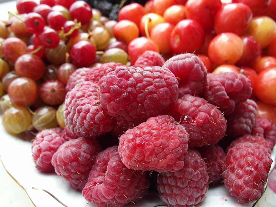 fruit, raspberries, mulberry, food and drink, healthy eating HD wallpaper