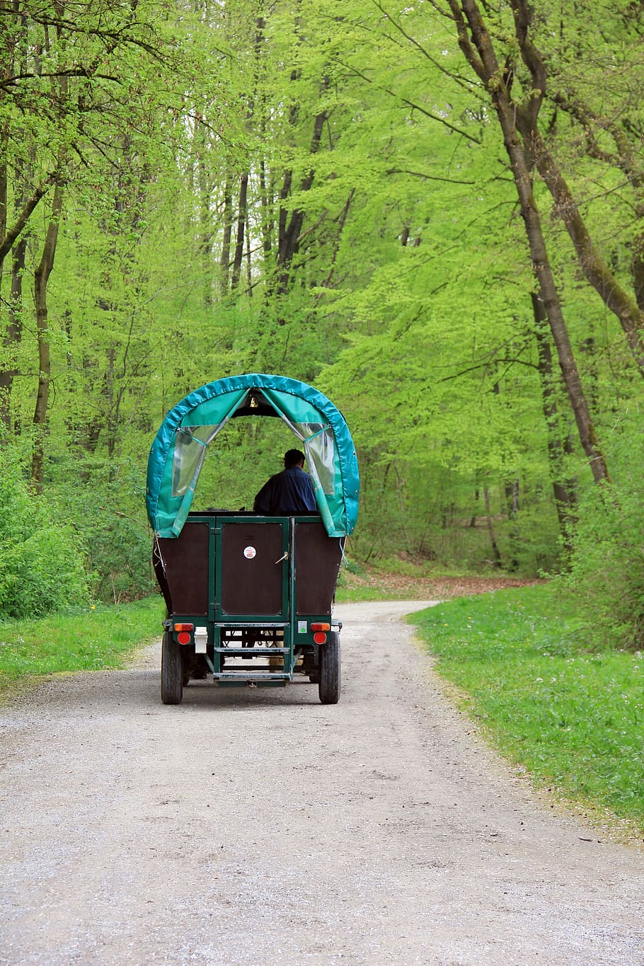 way, path, road, coach, horse, coachman, drive, locomotion HD wallpaper