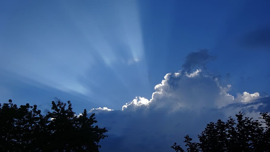 thunderstorm, sky, nature, dark clouds, tree, cloud - sky, beauty in nature HD wallpaper