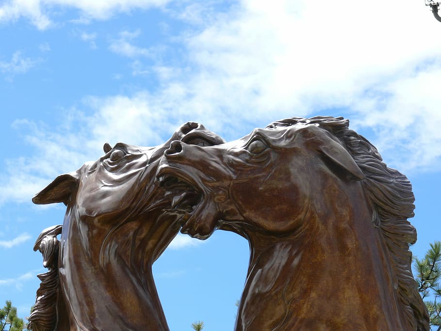 Bronze Statue, Horses, art, work of art, korczak, crazy horse memorial HD wallpaper