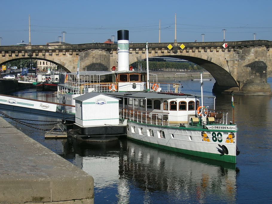 dresden, elbe, steamer, water, transportation, nautical vessel HD wallpaper