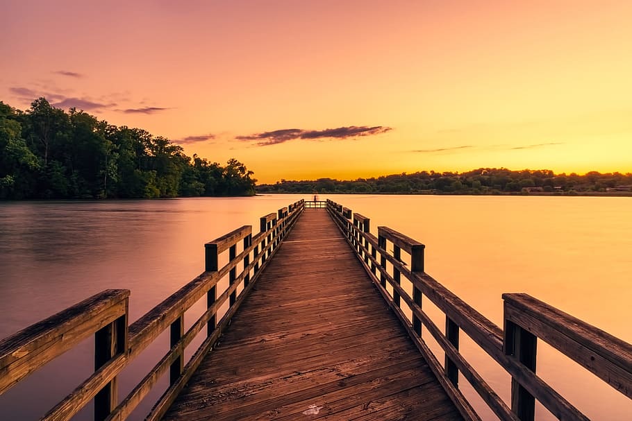 photography of brown wooden dock with trees as background, pier HD wallpaper