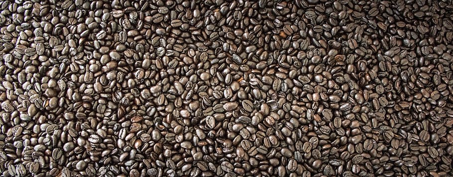 coffee bean lot, the process, beverage, delicious, sweet, in the morning, HD wallpaper